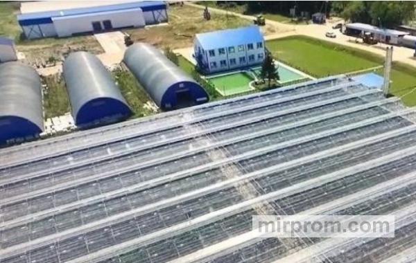 Стоимость готового бизнеса