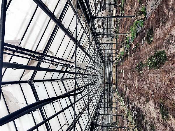 Теплица Антрацит б/у промышленная