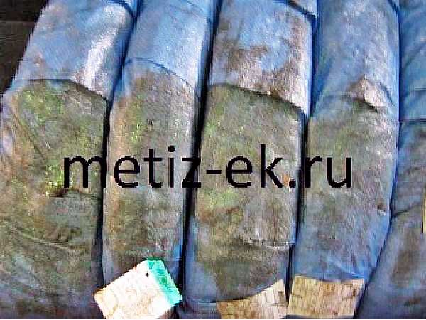 8 позиционный агрегатный станок с карусельным столом: WLT78K (Тайвань)