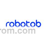 «Robotob» — студия настенной графики полного цикла.