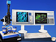 атомно-силовой микроскоп Nanoscience на платформе NanoWizard