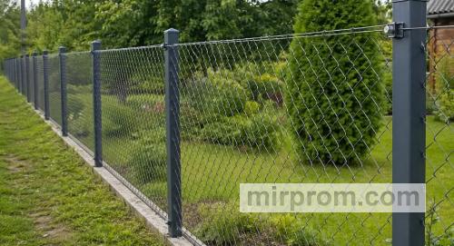 Фотография аккуратного натяжного забора из зеленой рабицы на границе двух ухоженных дачных участков с кустами малины