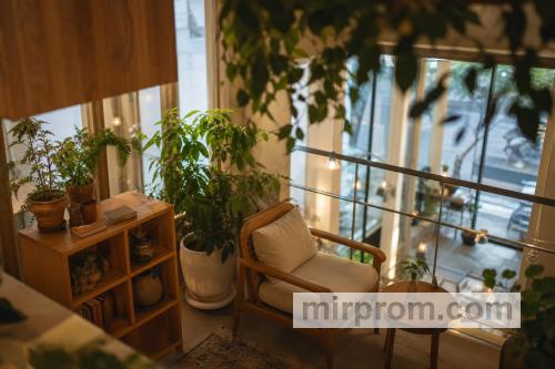 Компактная мебель и декоративные растения на антресоли кофейни