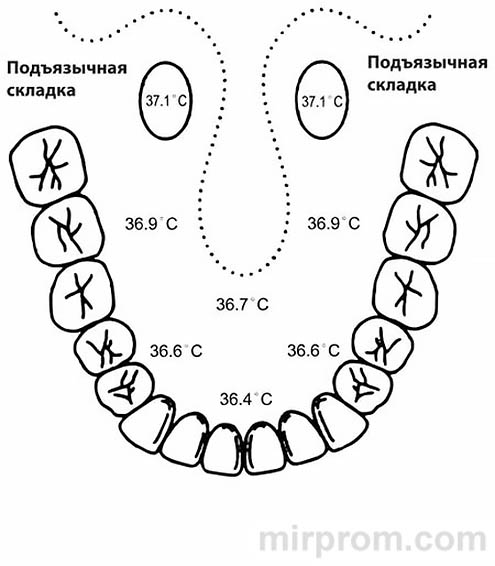 Градусник медицинский цифровой B.Well WT-06 Инструкция