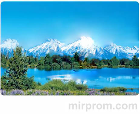 Инструкция BORK Н501 Увлажнитель воздуха