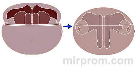 Инструкция Huawei FreeBuds 5i