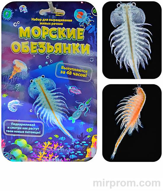 Набор для выращивания рачков Морские Обезьянки Инструкция