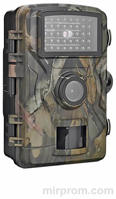 Фотоловушка