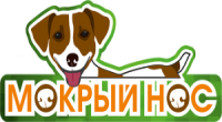 «Мокрый нос»