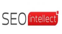 SEO Интеллект