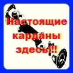 Логотип Склад карданных валов