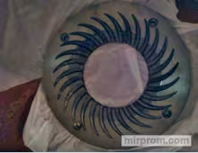 Жернова на краскотерки